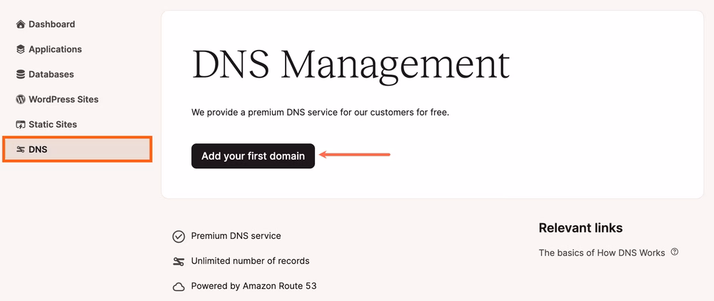 Kinsta's DNS management