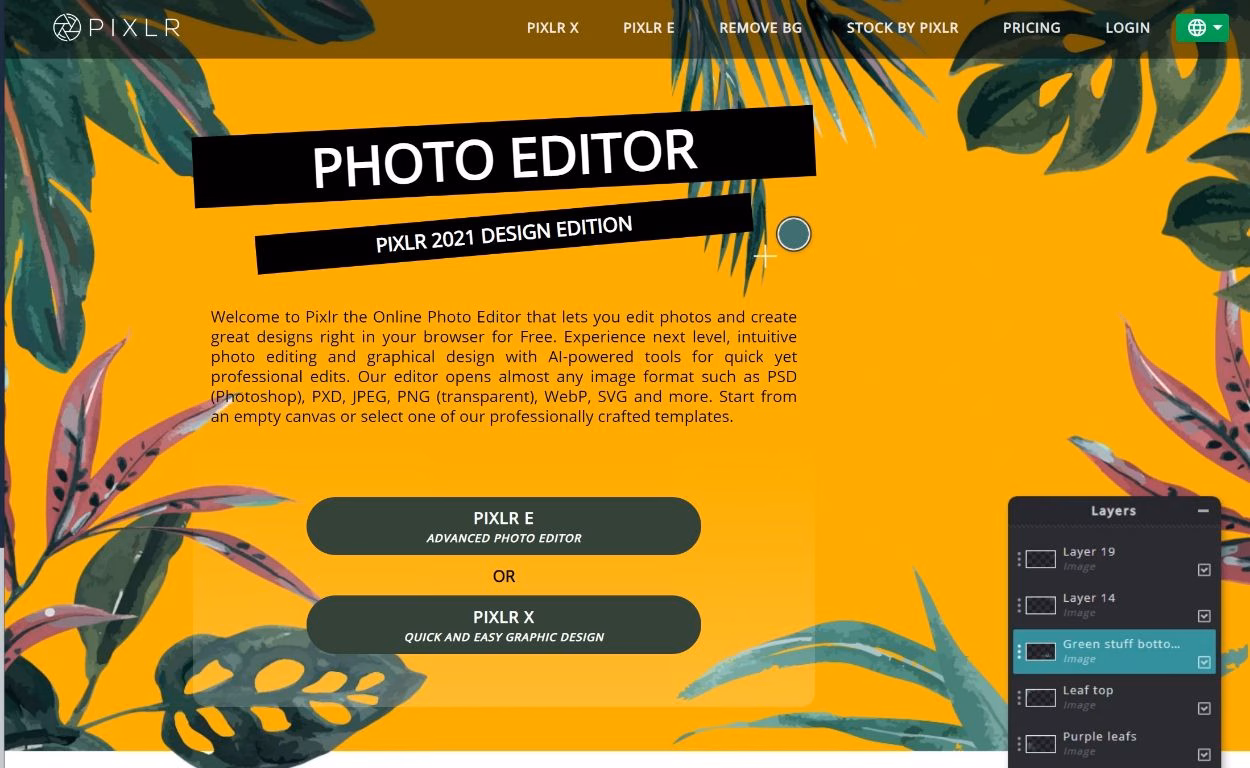 Pixl tool for advanced image editing options