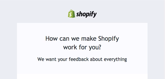 Shopify feedback email example