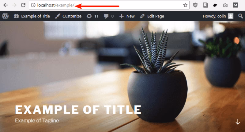 Wordpress on a localhost