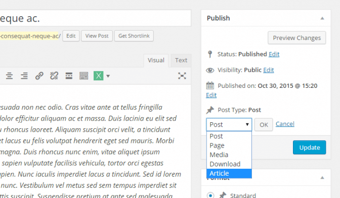Change article post type single