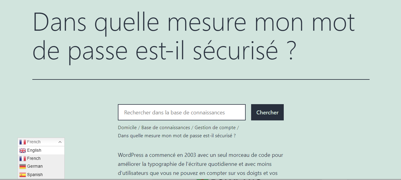 Gtranslate language switcher