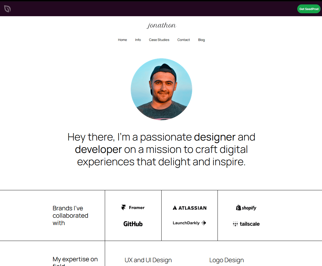 Wordpress seedprod resume template screenshot