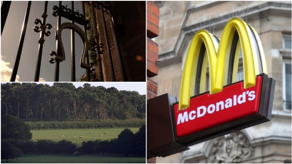 How many competitors does McDonald's have?