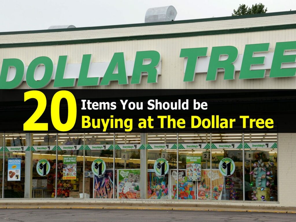 What's Better Family Dollar or Dollar Tree?