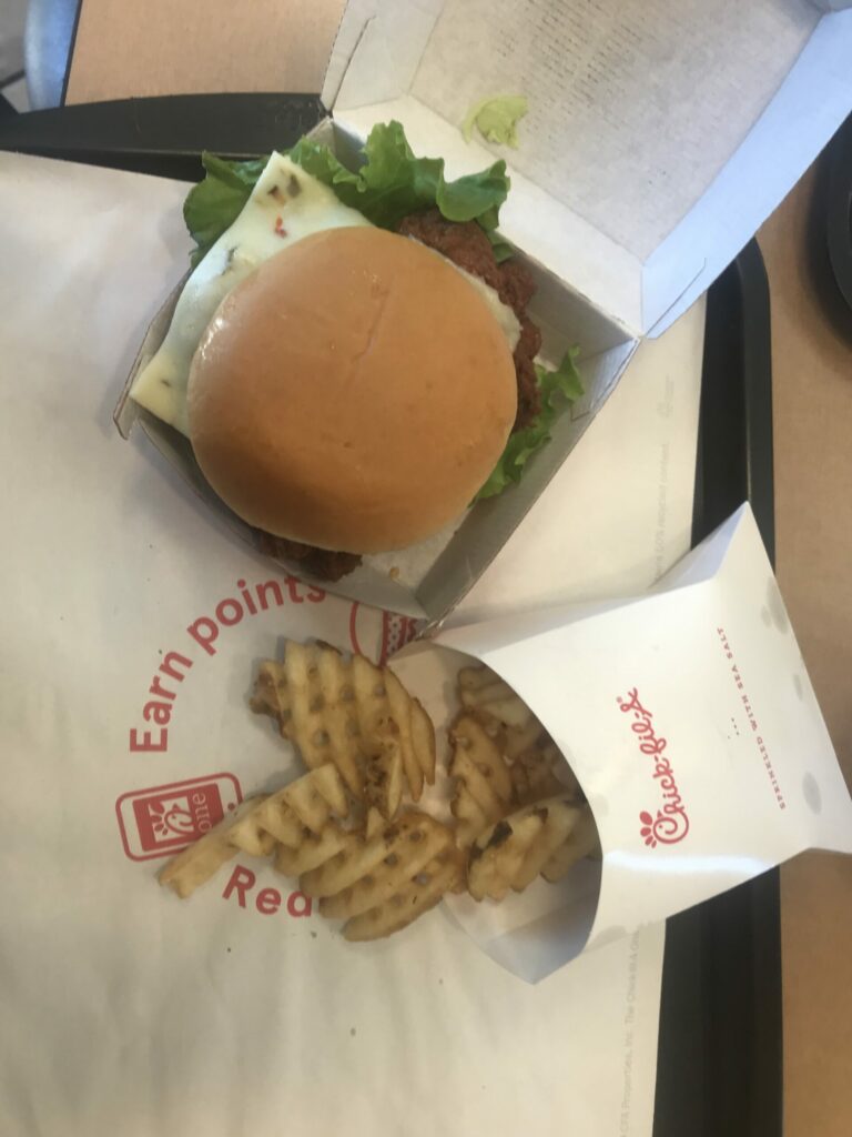 chicken-sandwich-chick-fil-a_t20_E4dVbX