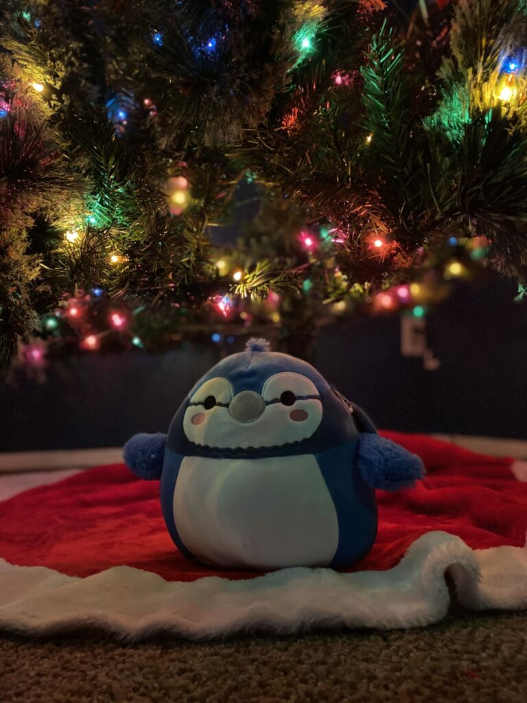 bluejay-squishmallow-lol-so-cute-photo-taken-by-me_t20_wk1yy7