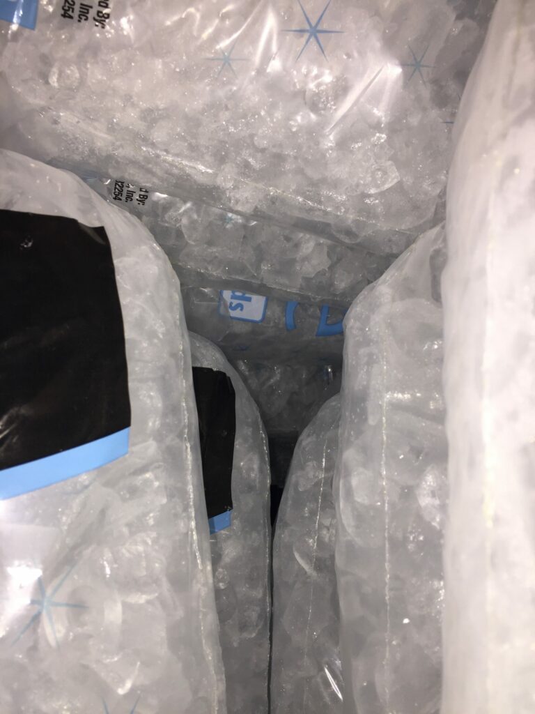 bags of ice - does aldi sell ice