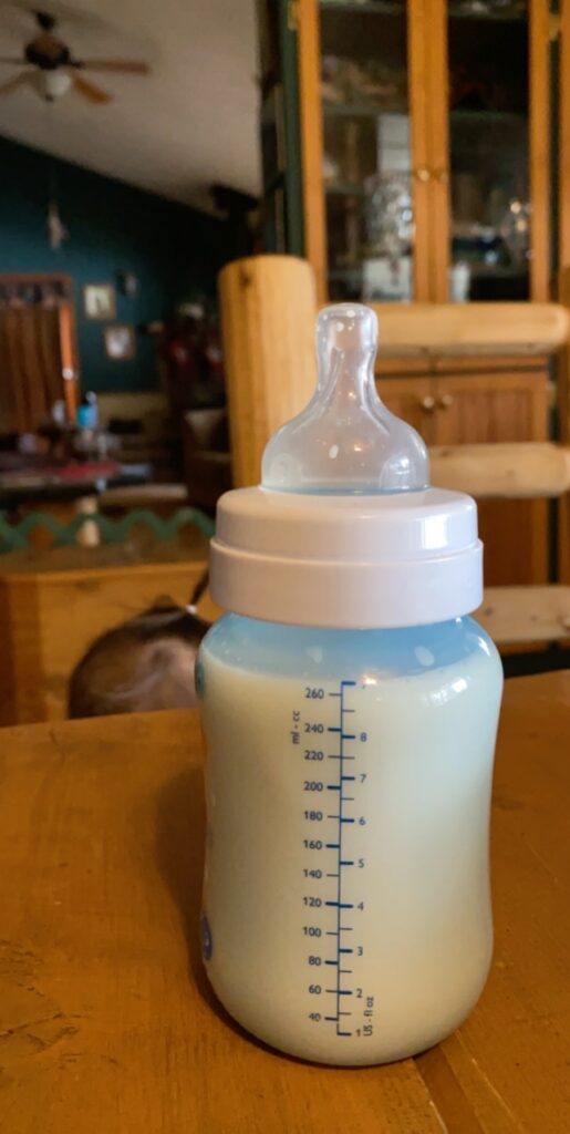 a-baby-bottle-with-milk-formula