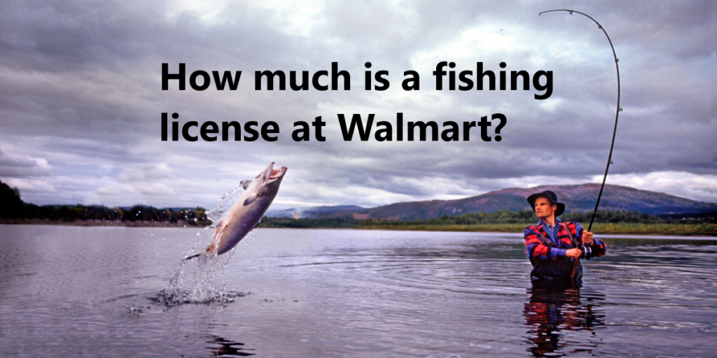 Can I buy a Georgia fishing license at Walmart?