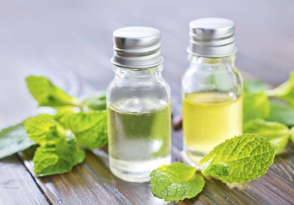 Can you buy peppermint oil at drugstore?