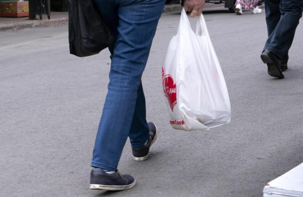 How can I shop without plastic bags?