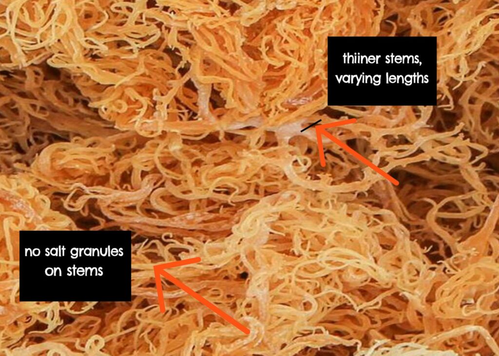 How can you tell fake sea moss?