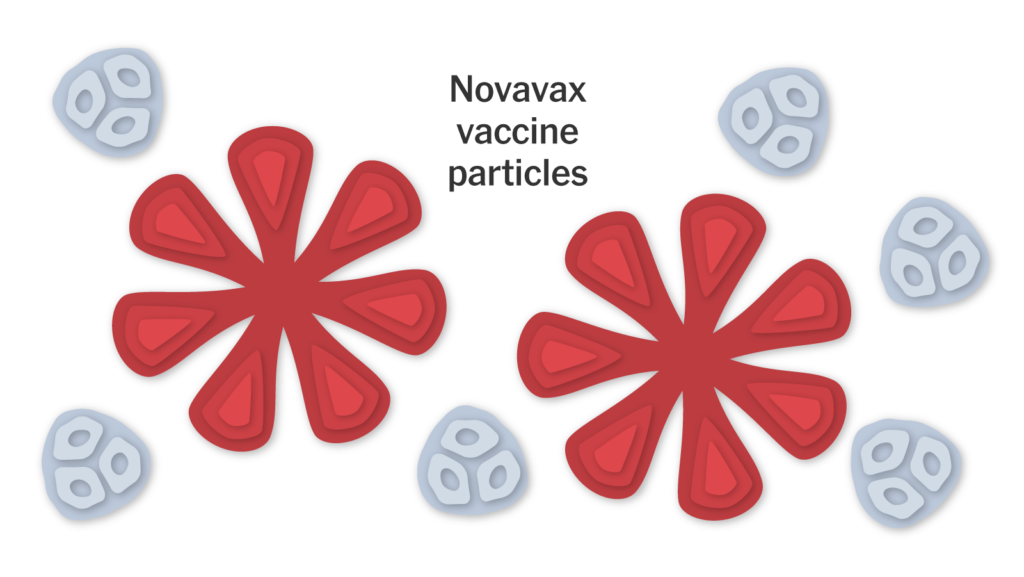 How does the Novavax COVID-19 vaccine work?