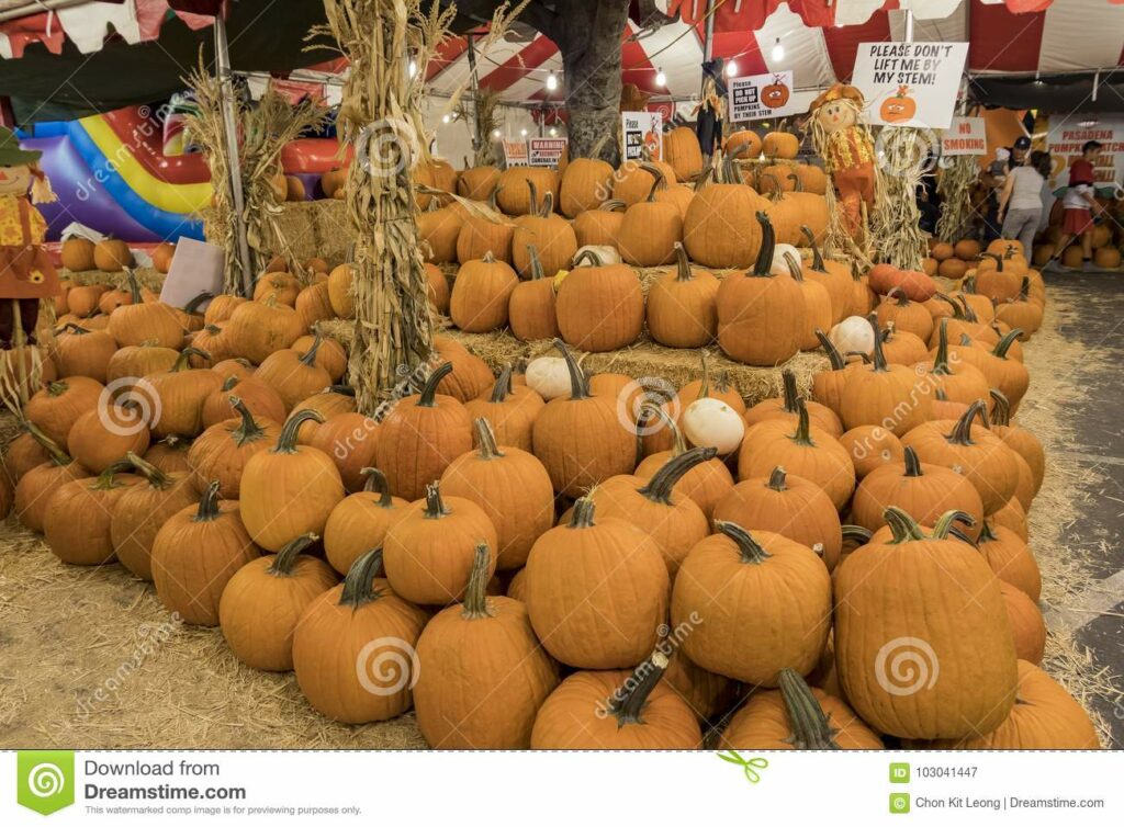 How much should I sell pumpkins for?