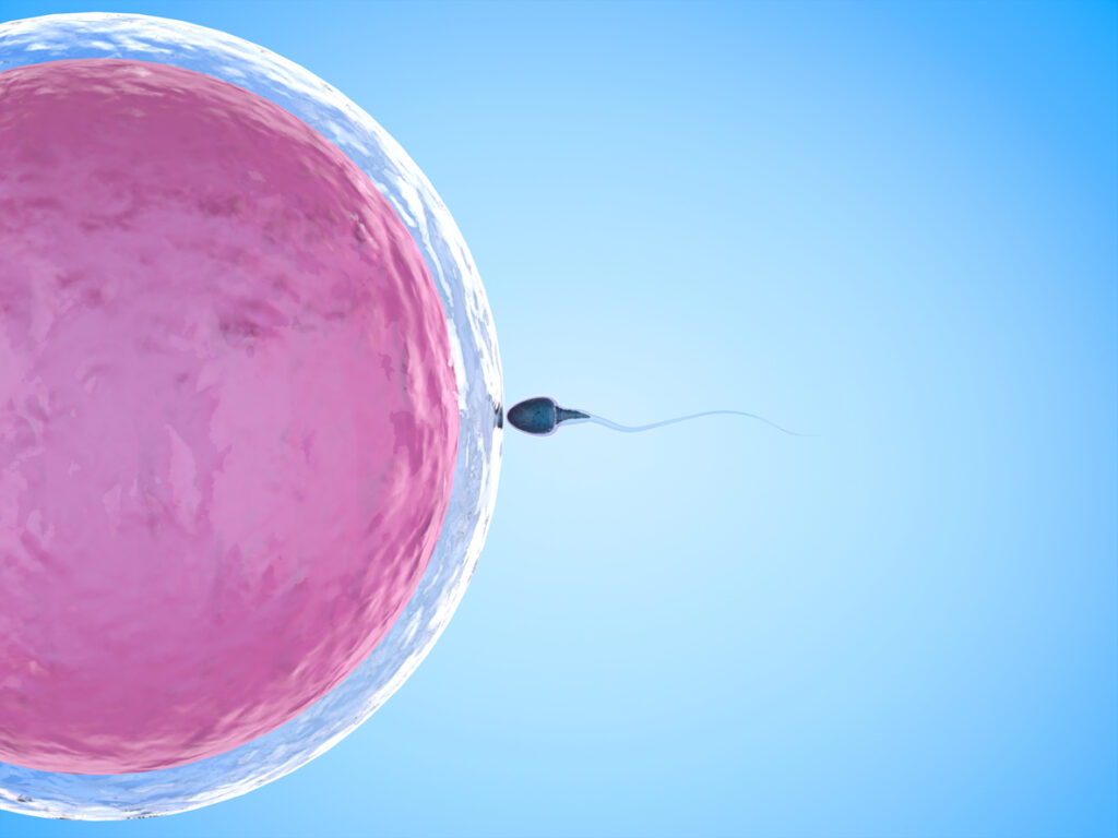 How much sperm is enough for pregnancy?