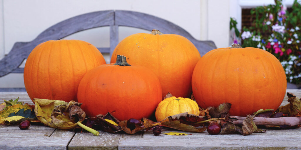 Is it too early to get pumpkins?