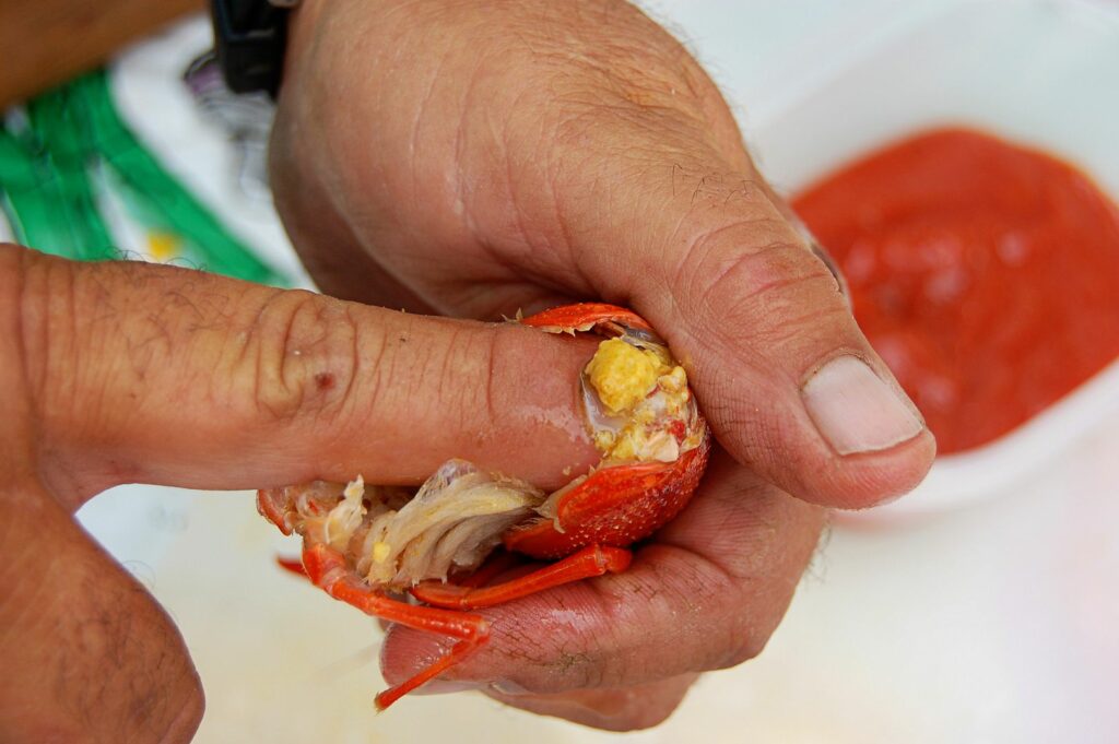 Is the yellow stuff in crawfish poop?