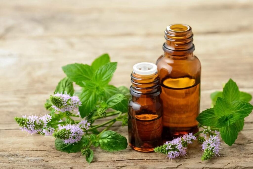 What are the 5 essential oils?