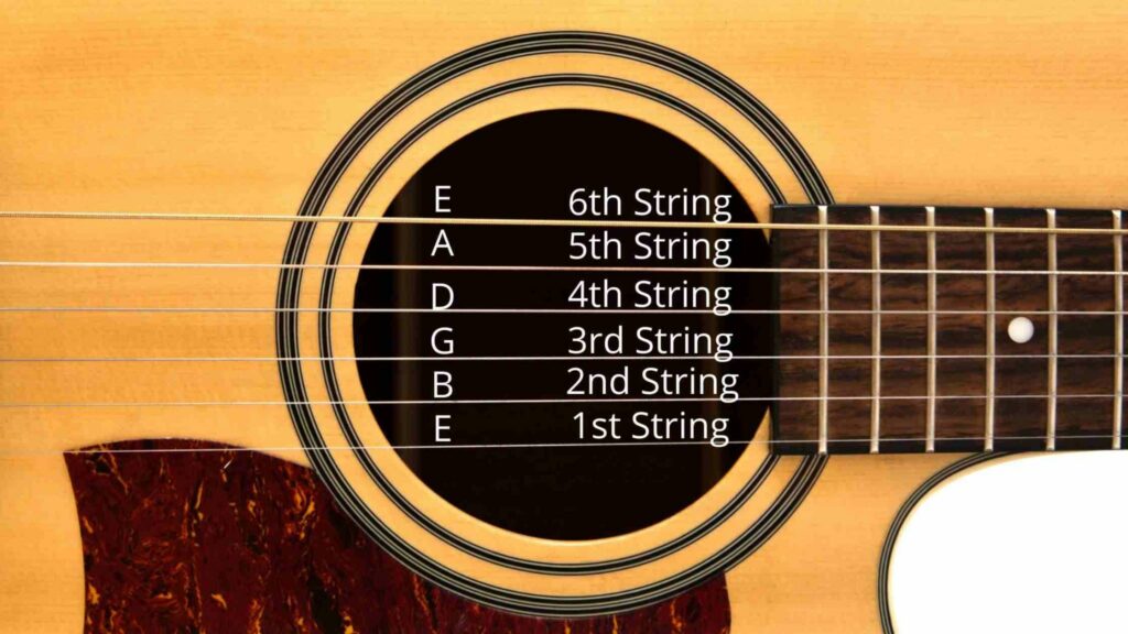 What are the strings of guitar called?