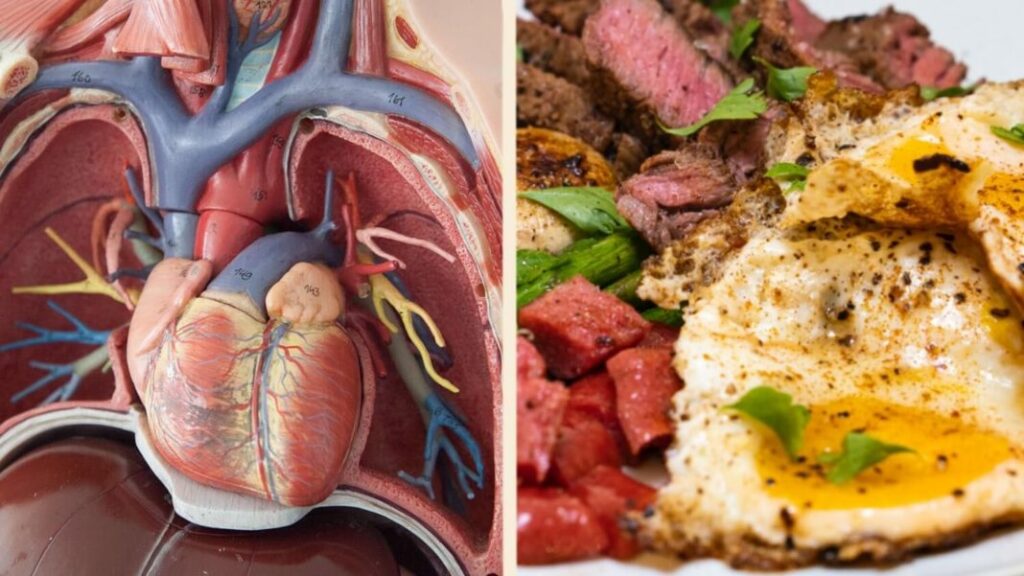 What do cardiologists say about the keto diet?