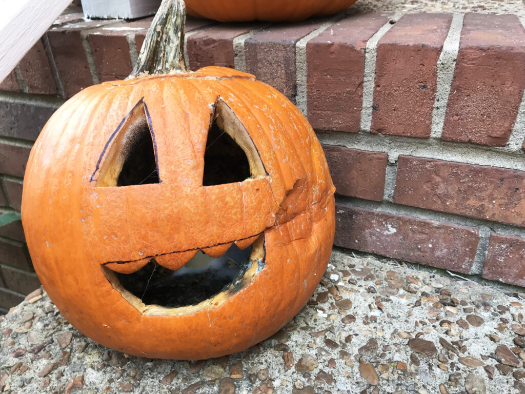 What do you put on a pumpkin to keep it from rotting?