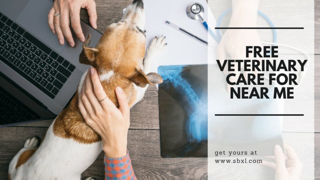 Free Veterinary Care For Near Me